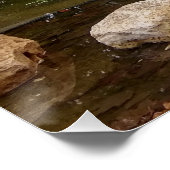 Poster Lac de Swan (Coin)