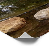 Poster Lac de Swan (Coin)