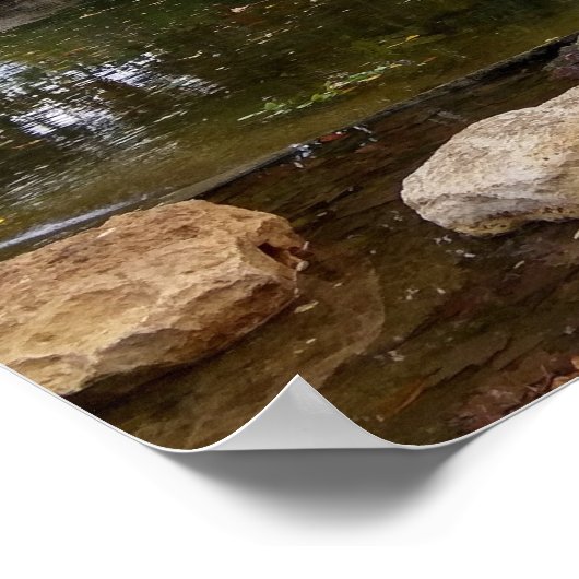 Poster Lac de Swan (Coin)