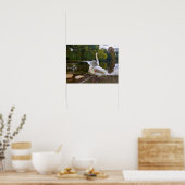 Poster Lac de Swan (Cuisine)