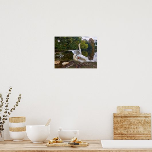 Poster Lac de Swan (Cuisine)
