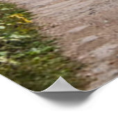 Poster Lac des Alpes Gosauseen Lac Autriche (Coin)