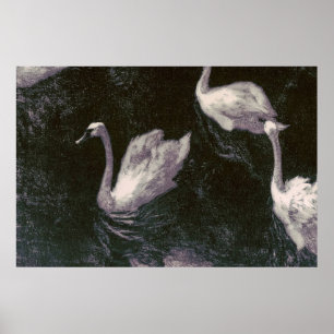 Poster Lac des cygnes au clair de lune
