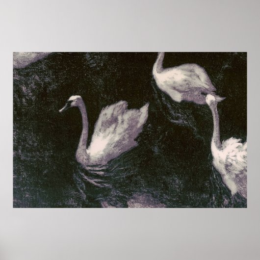 Poster Lac des cygnes au clair de lune (Devant)