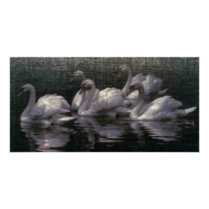 Poster Lac des cygnes au clair de lune
