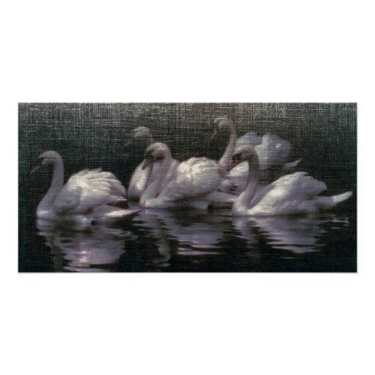 Poster Lac des cygnes au clair de lune (Devant)