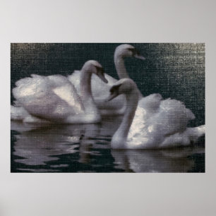 Poster Lac des cygnes au clair de lune