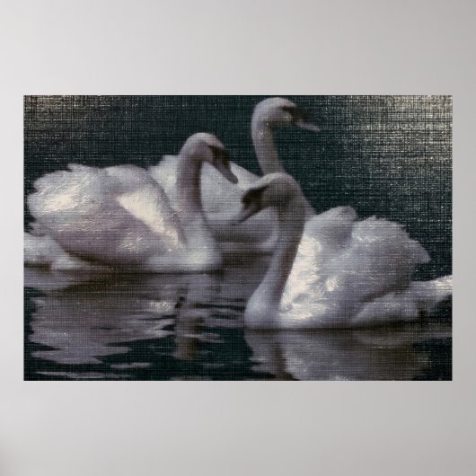 Poster Lac des cygnes au clair de lune (Devant)