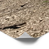 Poster Lac Detroit, Oregon (Coin)