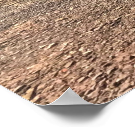 Poster Lac Devil (Coin)