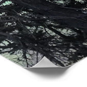 Poster Lac Devil, Oregon (Coin)