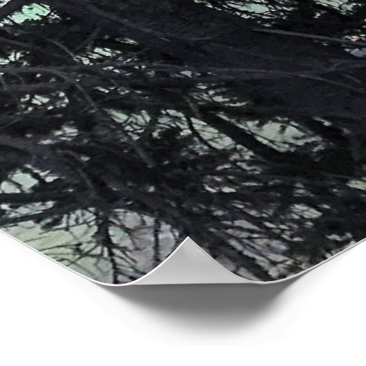 Poster Lac Devil, Oregon (Coin)