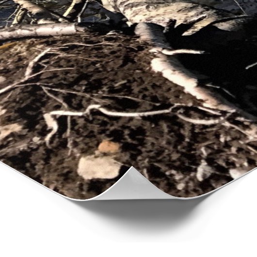 Poster Lac Diamond, Oregon (Coin)