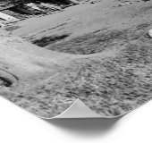 Poster Lac Diamond, Oregon Beach Swimmers Photographie (Coin)