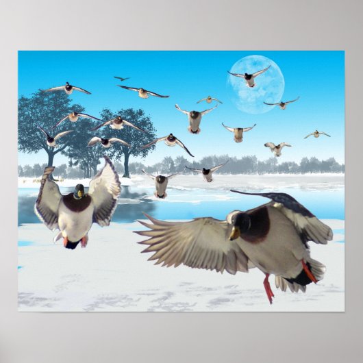 Poster Lac Duck (Devant)