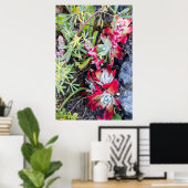 Poster Lac Dudleya At Point Reyes (Bureau à domicile)