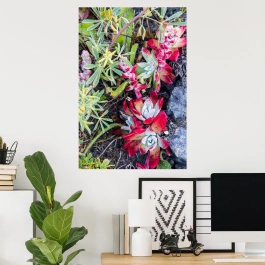 Poster Lac Dudleya At Point Reyes (Bureau à domicile)