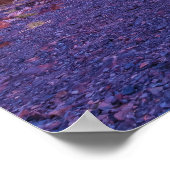 Poster Lac Ellery (Coin)