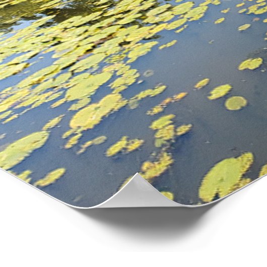 Poster Lac Érié Metropark River View (Coin)