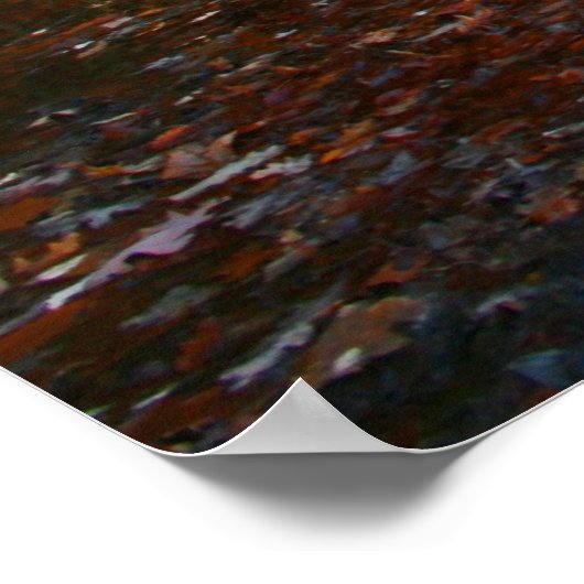 Poster Lac Fall (Coin)