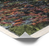 Poster Lac Flathead, Montana (Coin)