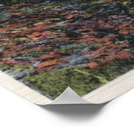 Poster Lac Flathead, Montana (Coin)