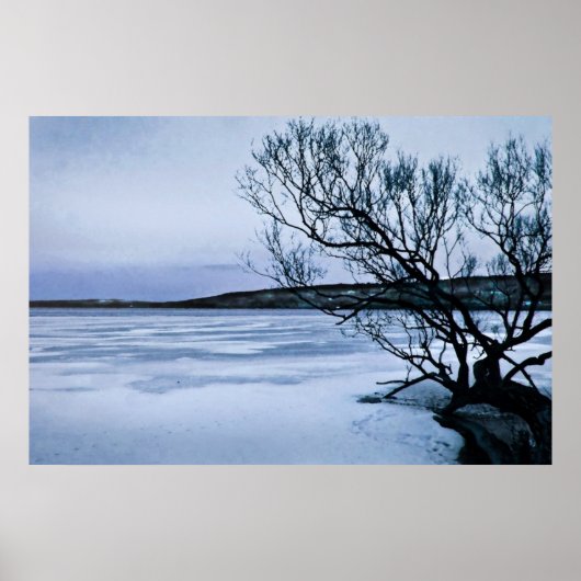 Poster Lac gelé (Devant)