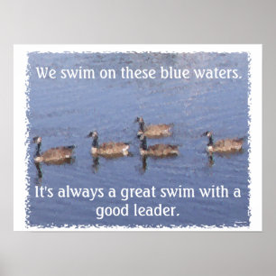 Poster Lac goose