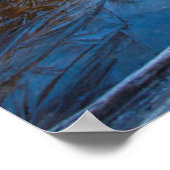 Poster Lac Icy Dream (Coin)