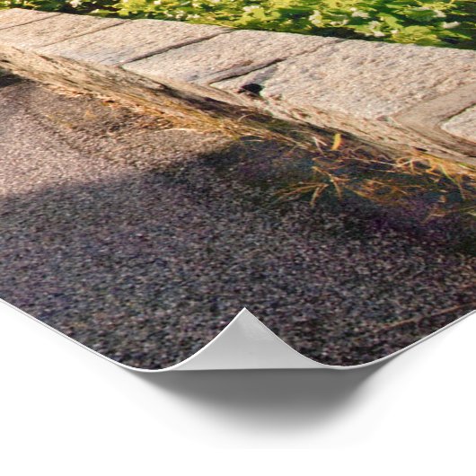 Poster Lac Léman 010 (Coin)