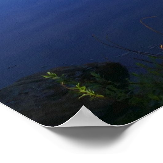 Poster Lac Lily (Coin)