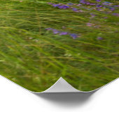 Poster Lac Maroon Bells (Coin)