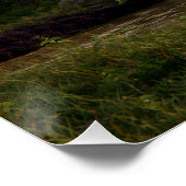 Poster Lac Meadow (Coin)