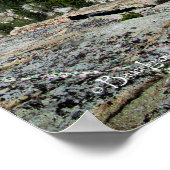 Poster Lac Medley - Sierra (Coin)