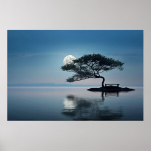Poster Lac Mist Lune Lumière Tranquille