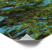 Poster Lac Moraine Pano (Coin)