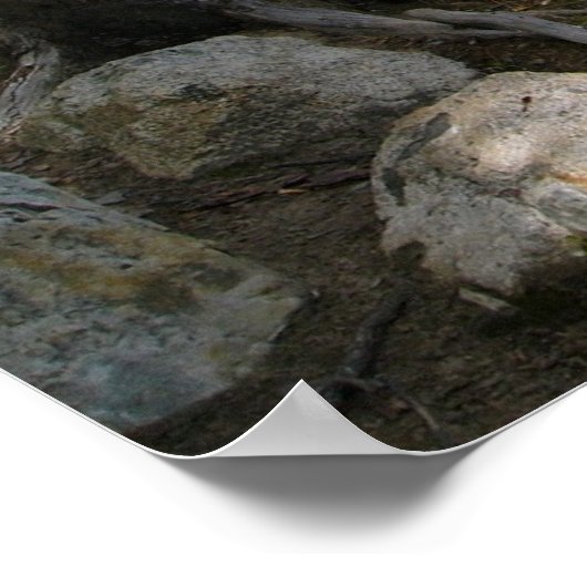 Poster lac nelligan (Coin)