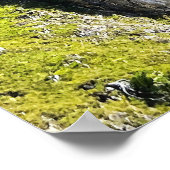 Poster Lac Oeschinen (Coin)
