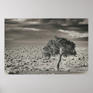 Poster Lac pyramid, Nevada 2