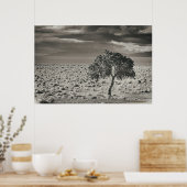 Poster Lac Pyramide, Nevada 2 (Cuisine)