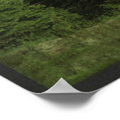 Poster Lac Raquette des Drapeaux (Coin)