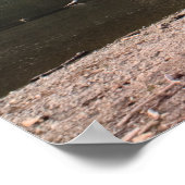 Poster Lac Rattlesnake, Washington Imprimer (Coin)