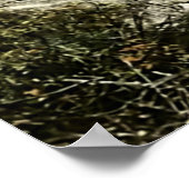 Poster Lac Saranac, New York (Coin)