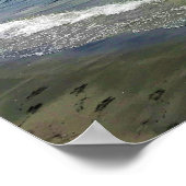 Poster Lac Simax Bay (Coin)