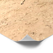 Poster Lac Sparks, Oregon (Coin)