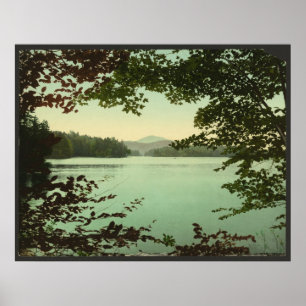 Poster Lac supérieur loon, Adirondacks, New York