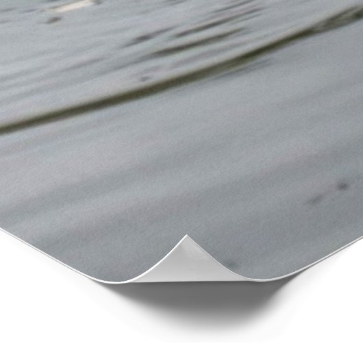 Poster Lac Swan - Imprimer (Coin)