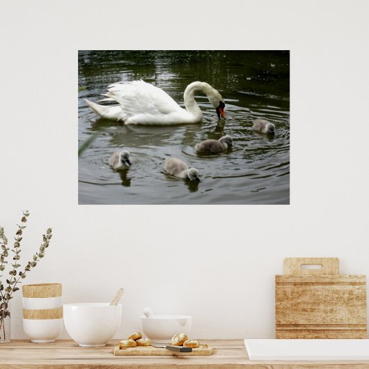 Poster Lac Swan - Imprimer (Cuisine)