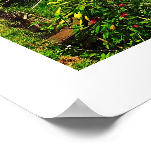 Poster Lac Tamblingan (Coin)