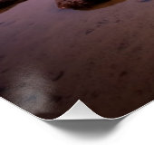 Poster Lac Tenaya (Coin)